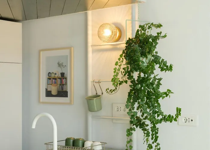 Einstein 15 5 Κλουζ-Ναπόκα